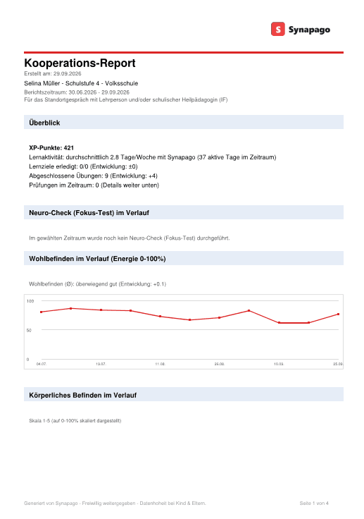 Kooperations-Report, Seite 1 (Beispiel)